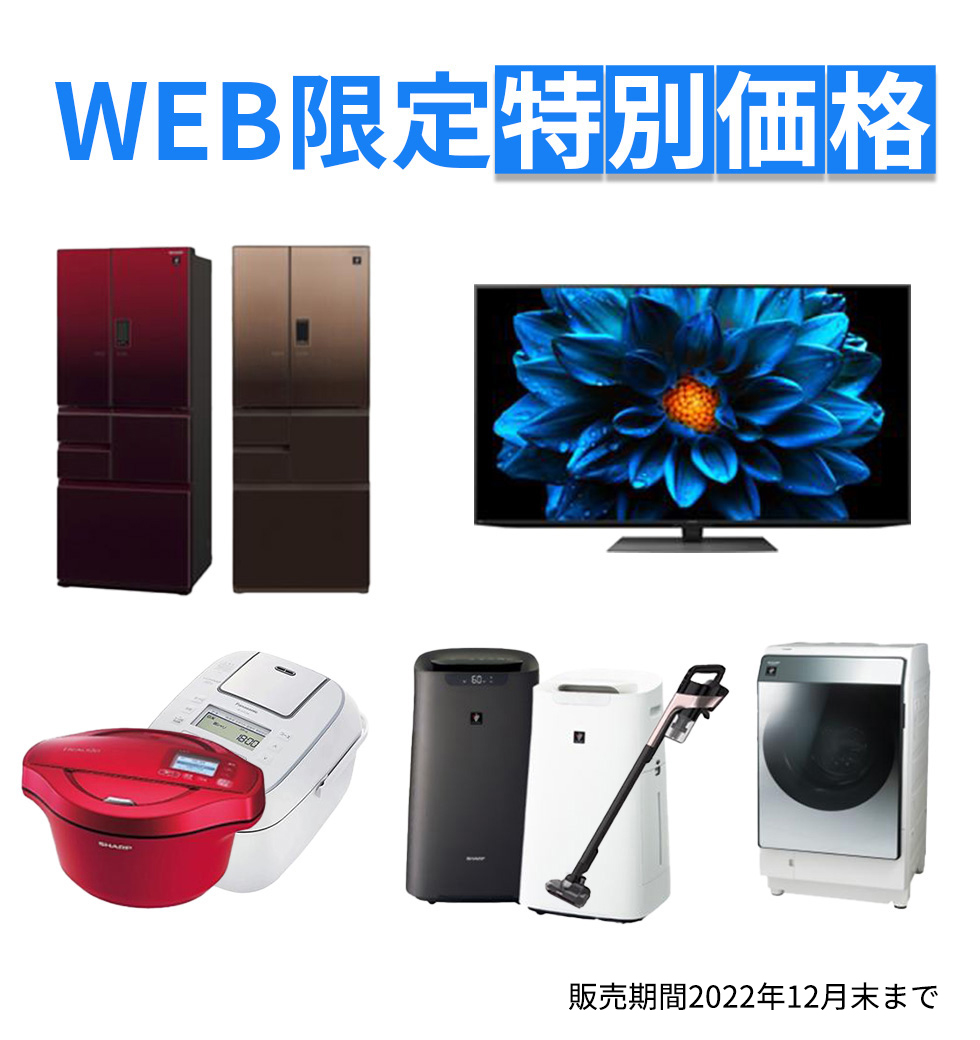 WEB限定特別価格